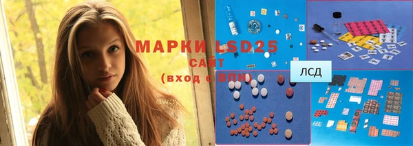 шишки Пролетарск