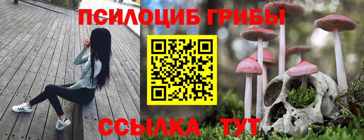 где купить   Вход с VPN  Сафоново  Галлюциногенные грибы мицелий 